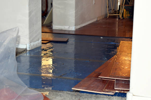 Professional Basement Flood Cleanup technician working in Springfield, LA