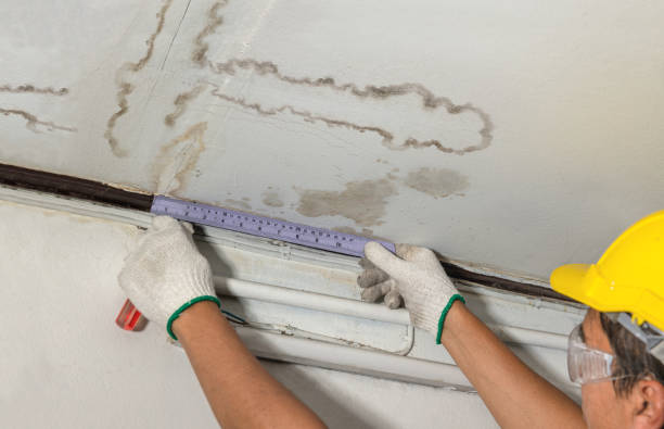 Reliable Basement Flood Cleanup contractor in Springfield, LA by Aqua Guard Water Damage